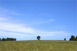 La C�te-aux-F�es, Val-de-Travers