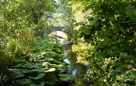 Le Bied à Môtiers, Val-de-Travers