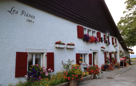 Restaurant des Plânes