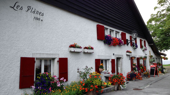 Restaurant les Plânes